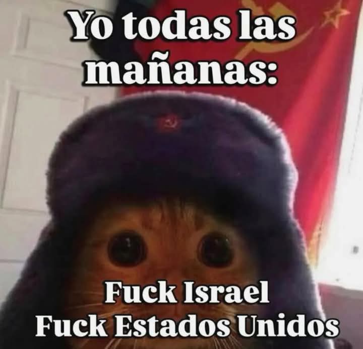 CATERINA😇 tweet media