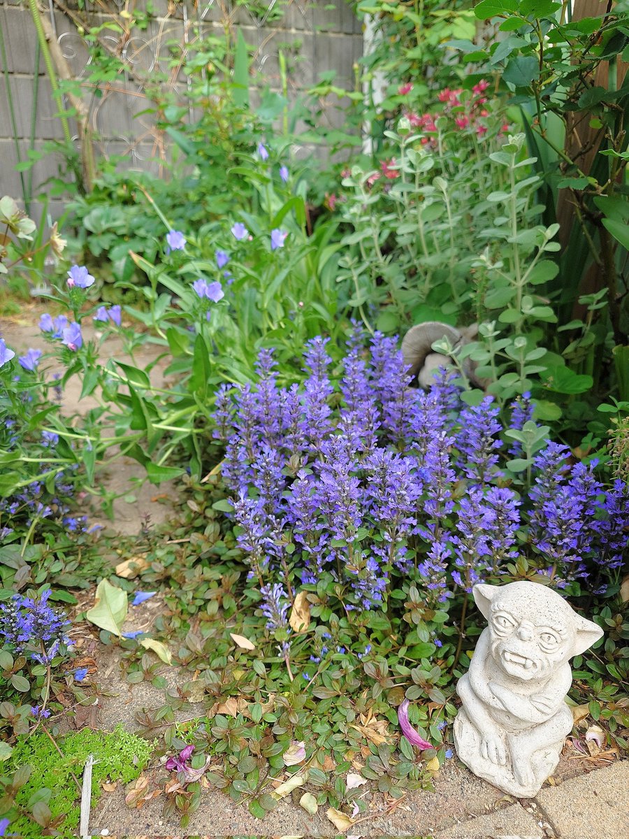 ㌍ おんたん tweet media