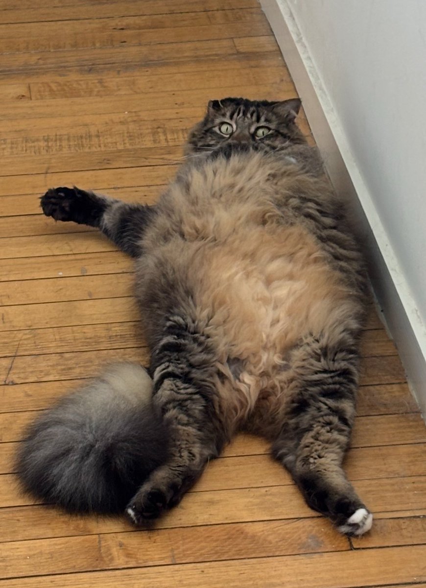 AimeeRae612's tweet photo. @SkrungusDaisy @WalterBestBoy It’s always a trap and I always fall for it 😩 https://t.co/LUc8OZPxSl