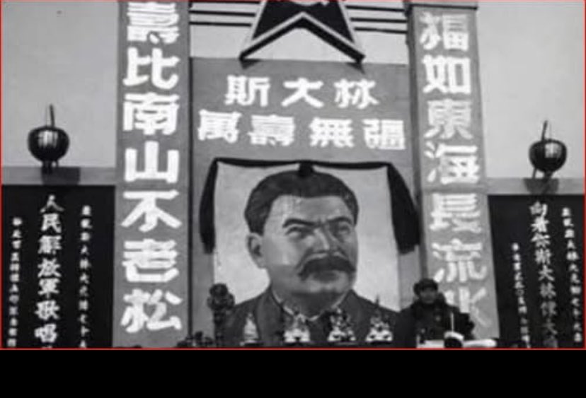 西妲妲🍥🏳️‍⚧️🇯🇵 tweet media