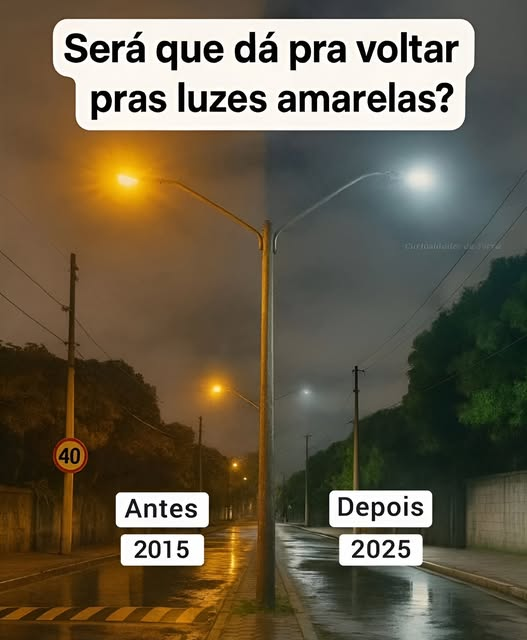 O Pinto Marcando ® tweet media
