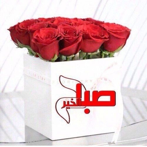 صقر العروبة 💛💙🇸🇦 tweet media