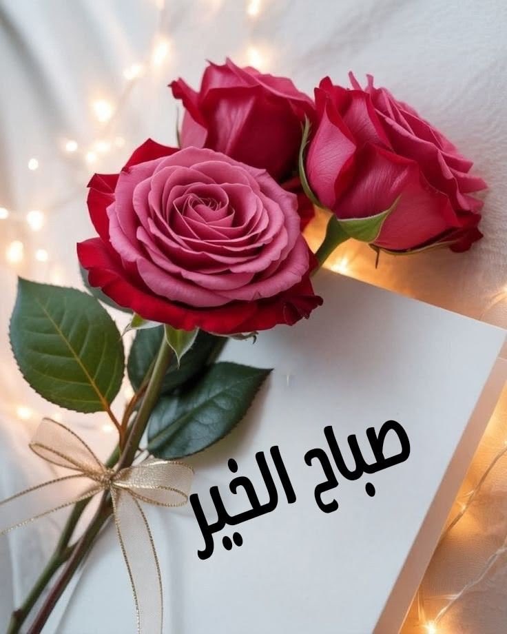اللهم أسعدنا بلطفك وأنر طريقنا برحمتك واختصنا بمحبتك وأنعم علينا بعفوك وعافيتك وسترك 
في الدنيا والآخرة 
صبااحكم سعااادة تستوطن أرواحكم♥️🕊️🌹✨