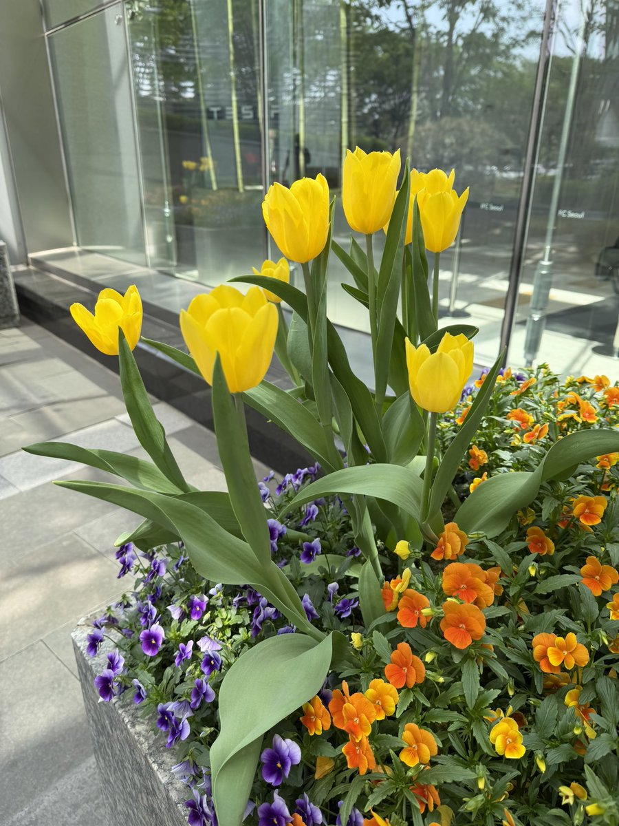 티와플🌱 tweet media