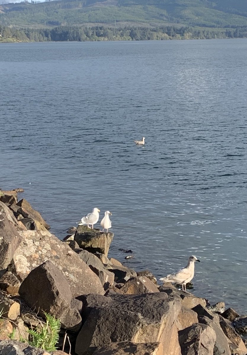 Sea 海洋 🌊 tweet media