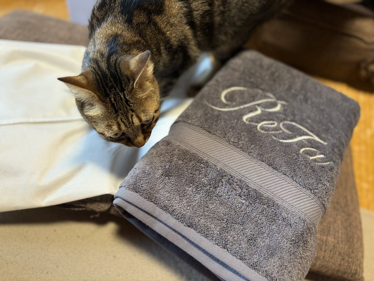 ｻｷﾁｬｰﾝ tweet media