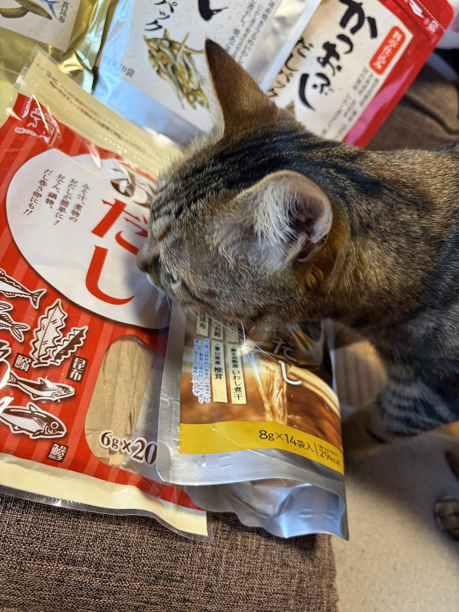 ｻｷﾁｬｰﾝ tweet media