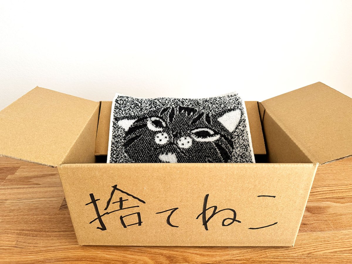 ジョーナンくん🐘【今治のタオル屋さん】 tweet media