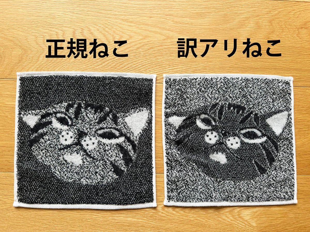 ジョーナンくん🐘【今治のタオル屋さん】 tweet media