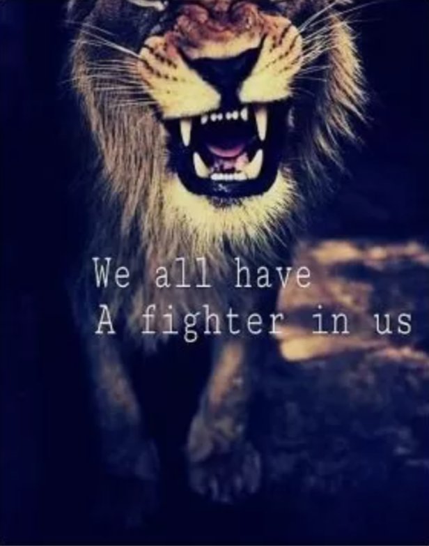 Trade More With a 100% Bonus!
xm.com/referral?token…