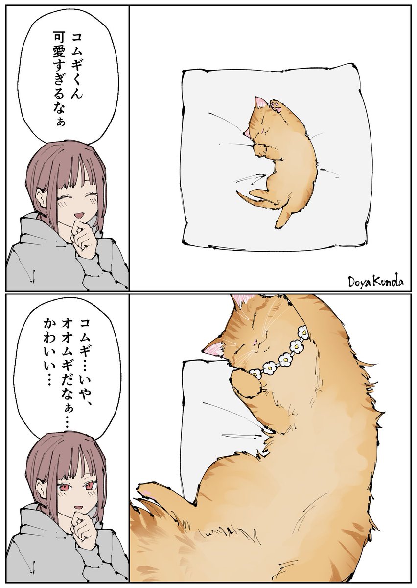 DoyaKonda's tweet photo. コムギからオオムギへ https://t.co/elFASozIS7