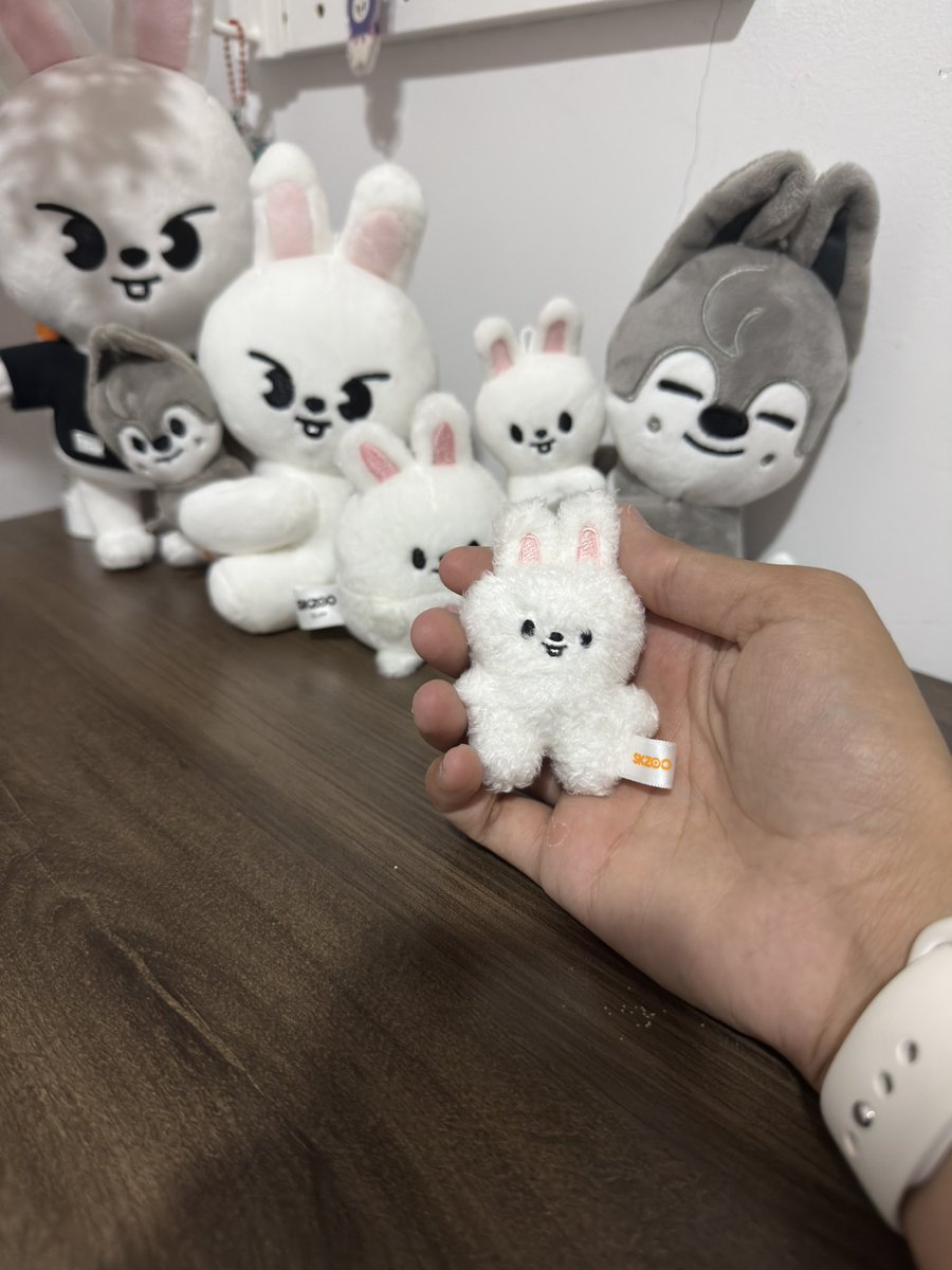 minchanerr's tweet photo. feedback positivo para @foxycollector 
@_2leemy @hnjilover que organizou a ceg e com todos os percursos que a caixa sofreu fez o envio em segurança do meu leebit fiado de manga 🩵 https://t.co/uRAwGG5KYY