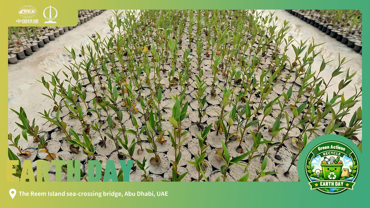 Happy World Earth Day! 
From connection to coexistence—on the 𝑹𝒆𝒆𝒎 𝑰𝒔𝒍𝒂𝒏𝒅 𝑩𝒓𝒊𝒅𝒈𝒆 𝑷𝒓𝒐𝒋𝒆𝒄𝒕 in Abu Dhabi, CCECC minimized impacts on mangroves and supported ecological restoration, helping around 6,000 mangrove trees thrive along the coast.