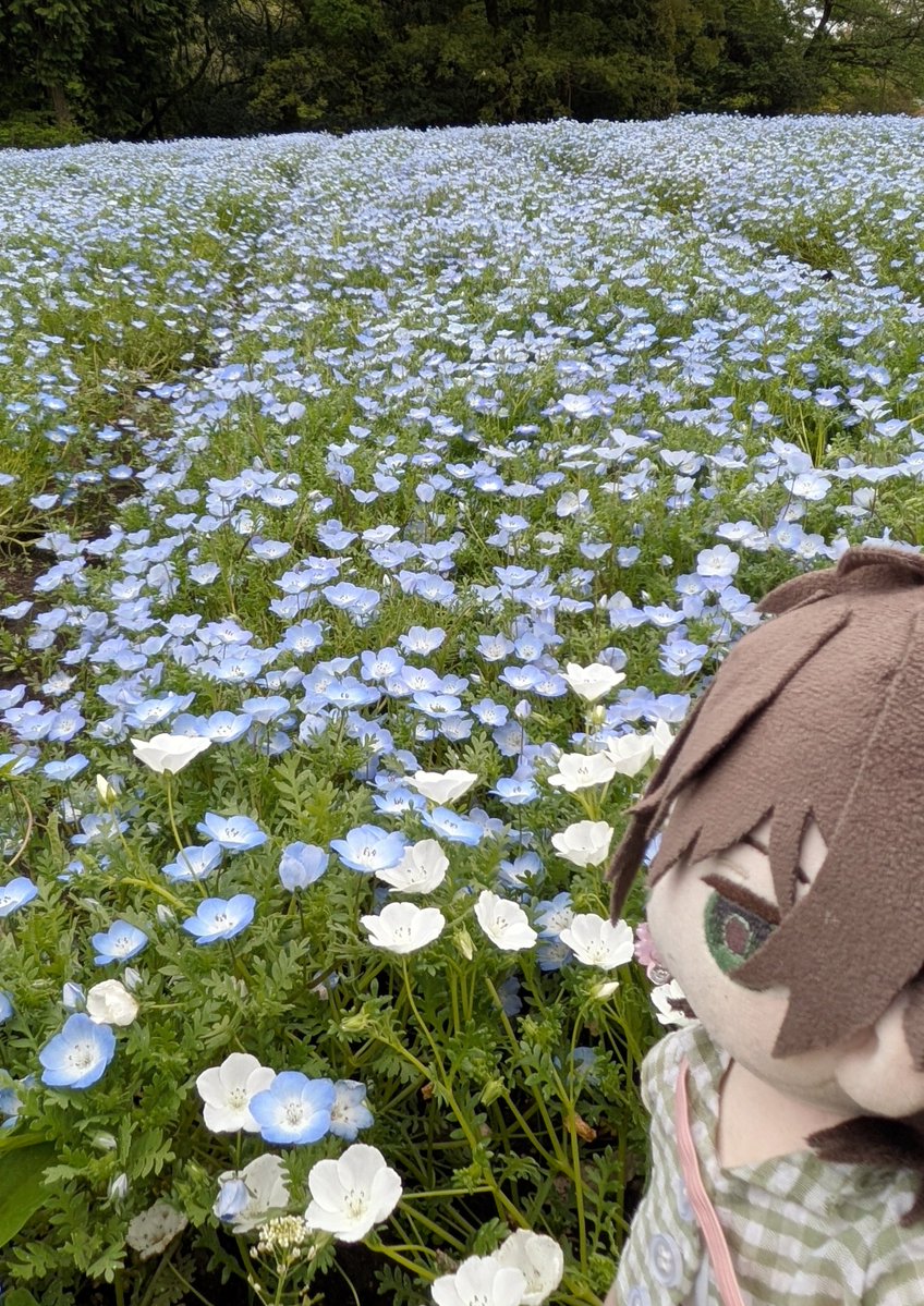 砂 サン tweet media
