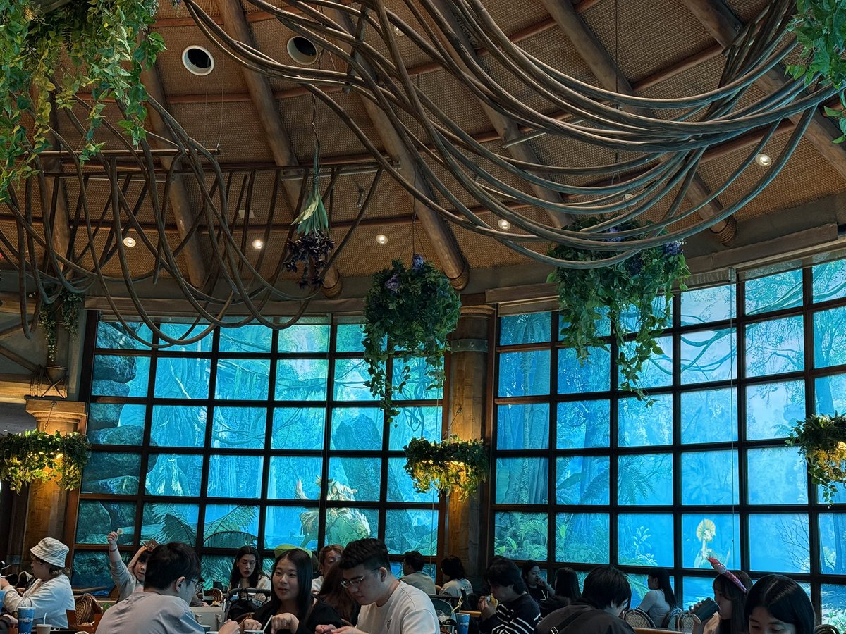 Ms5000Watts tweet media