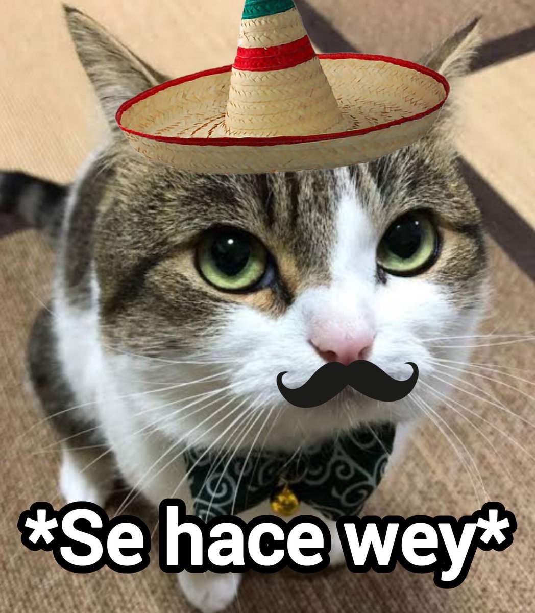 Quiero probar sushi al estilo mexicano😹❤️🇲🇽