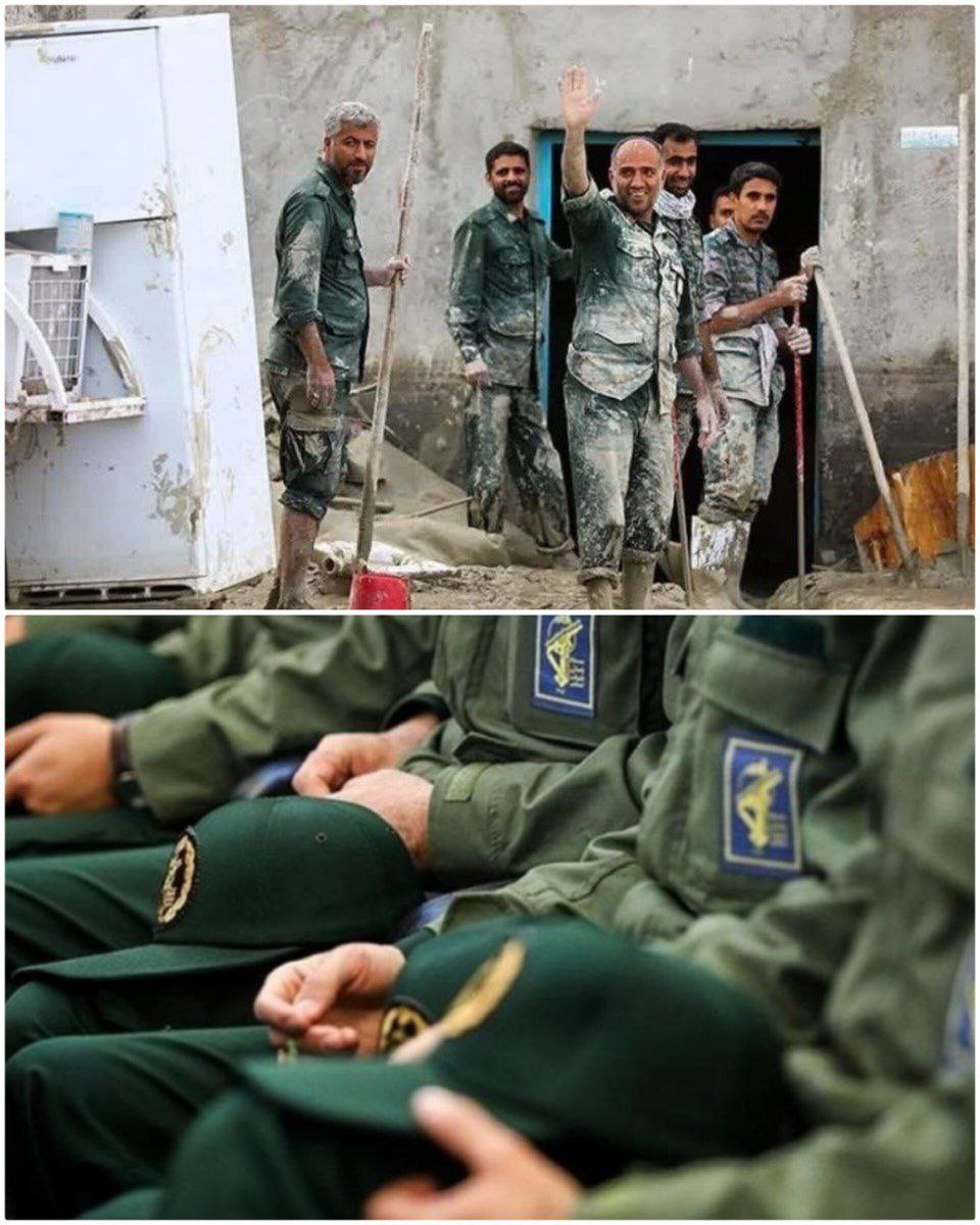 گل نرگس tweet media