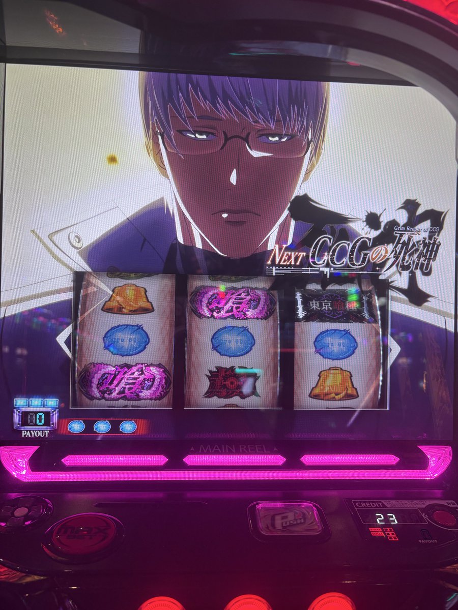 ひー(`ω･´)/‎🤍🪽 tweet media