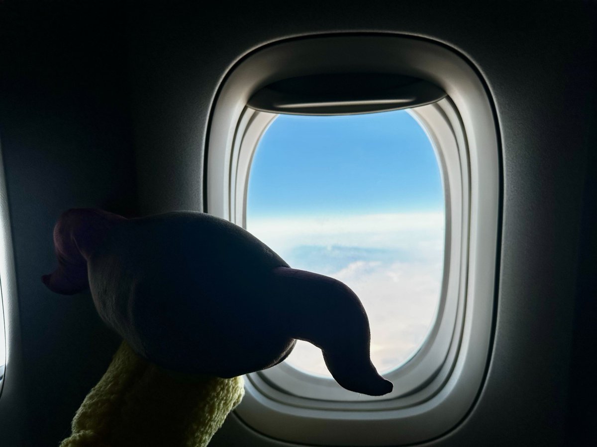 FINAL FANTASY XIV tweet media