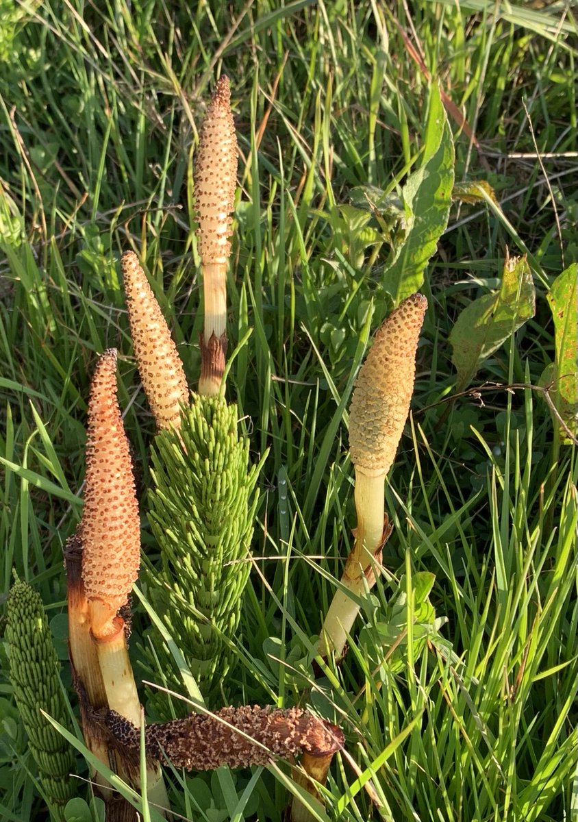 Sea 海洋 🌊 tweet media