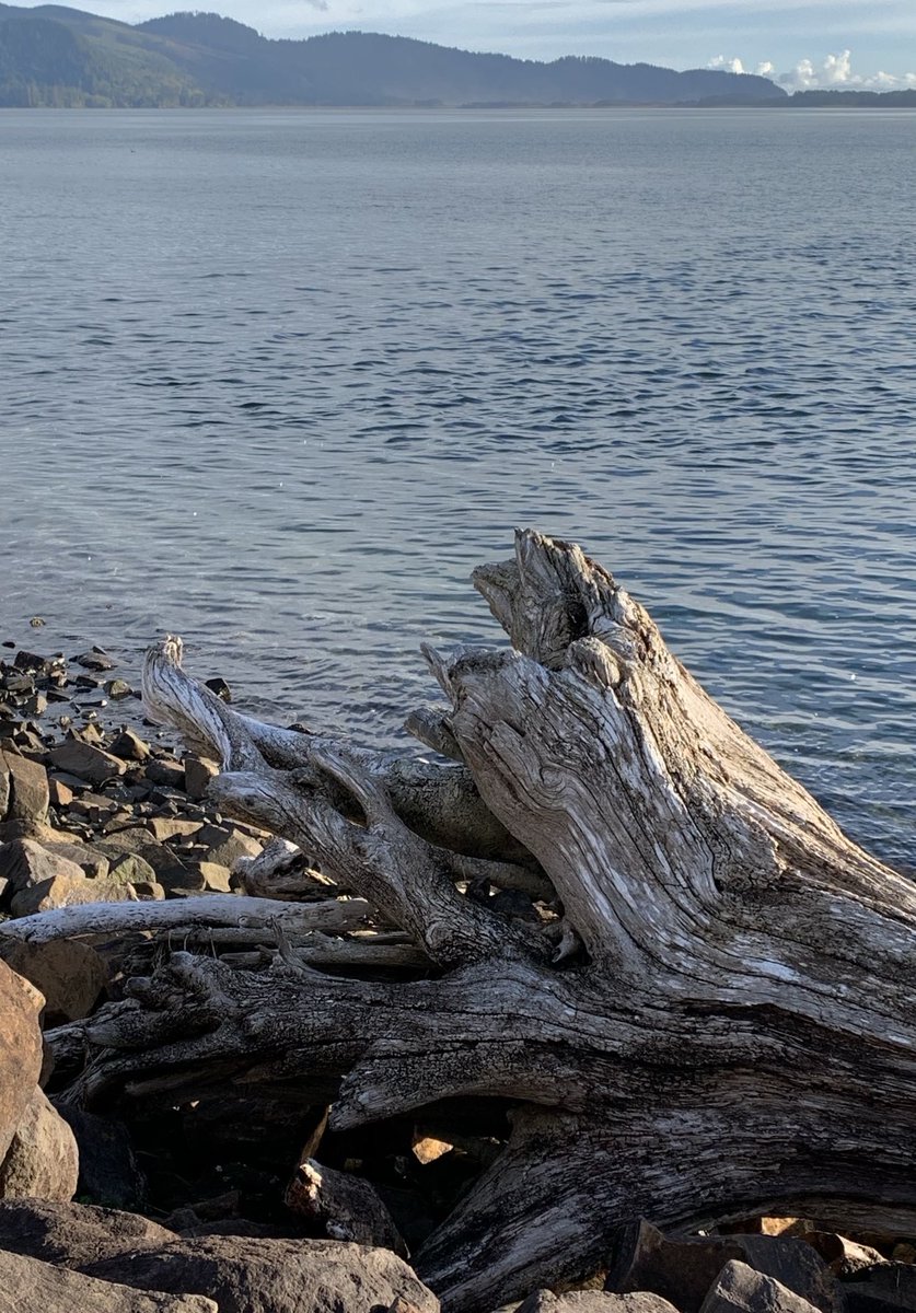 Sea 海洋 🌊 tweet media