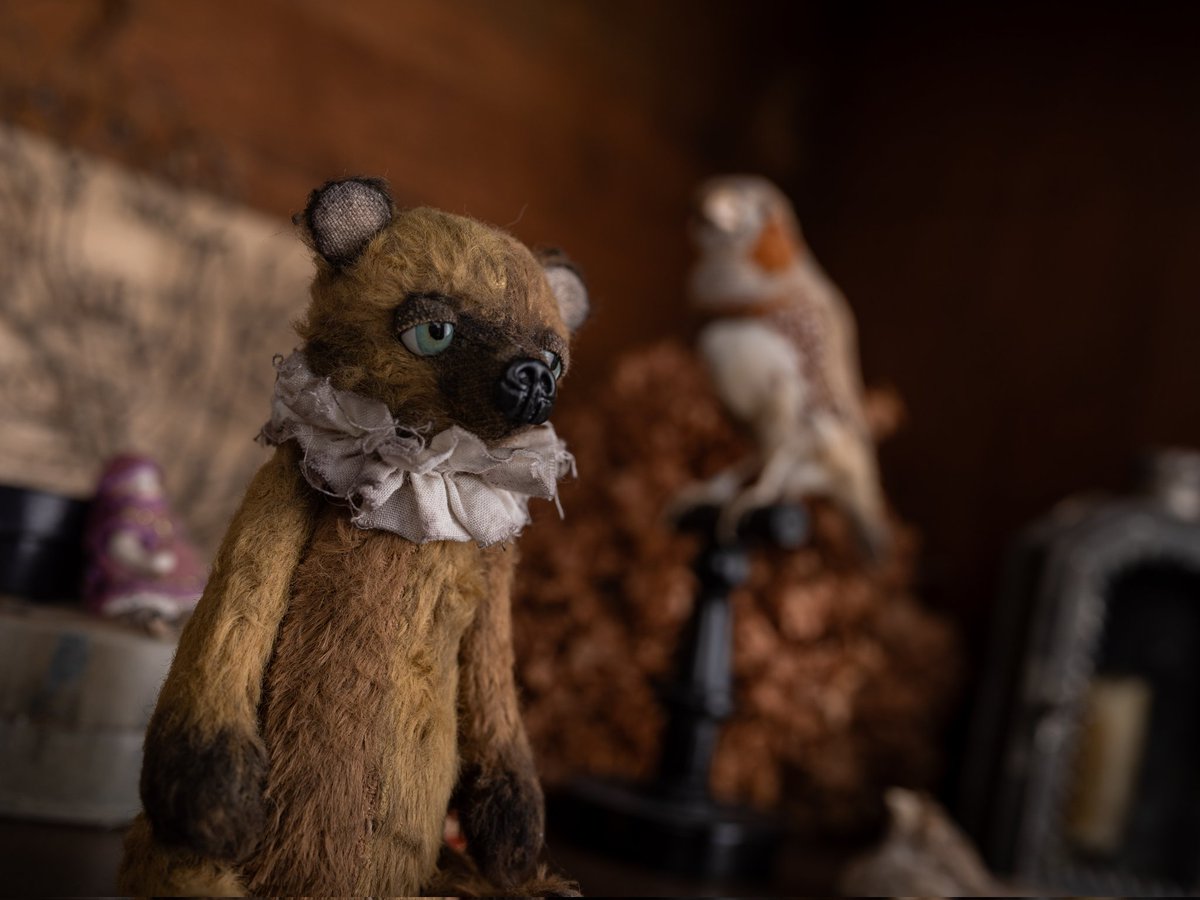 nicomeem tweet media