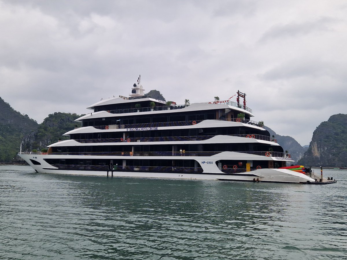 Sukani123's tweet image. Unser gemütliches Halong-Bucht Mini-Kreuzschiffchen!🤩
Wir sind jetzt umgestiegen auf ein kleineres Boot und machen einen Landausflug. Heute Nachmittag geht es wieder zurück.🤩
#Vietnam ❤️