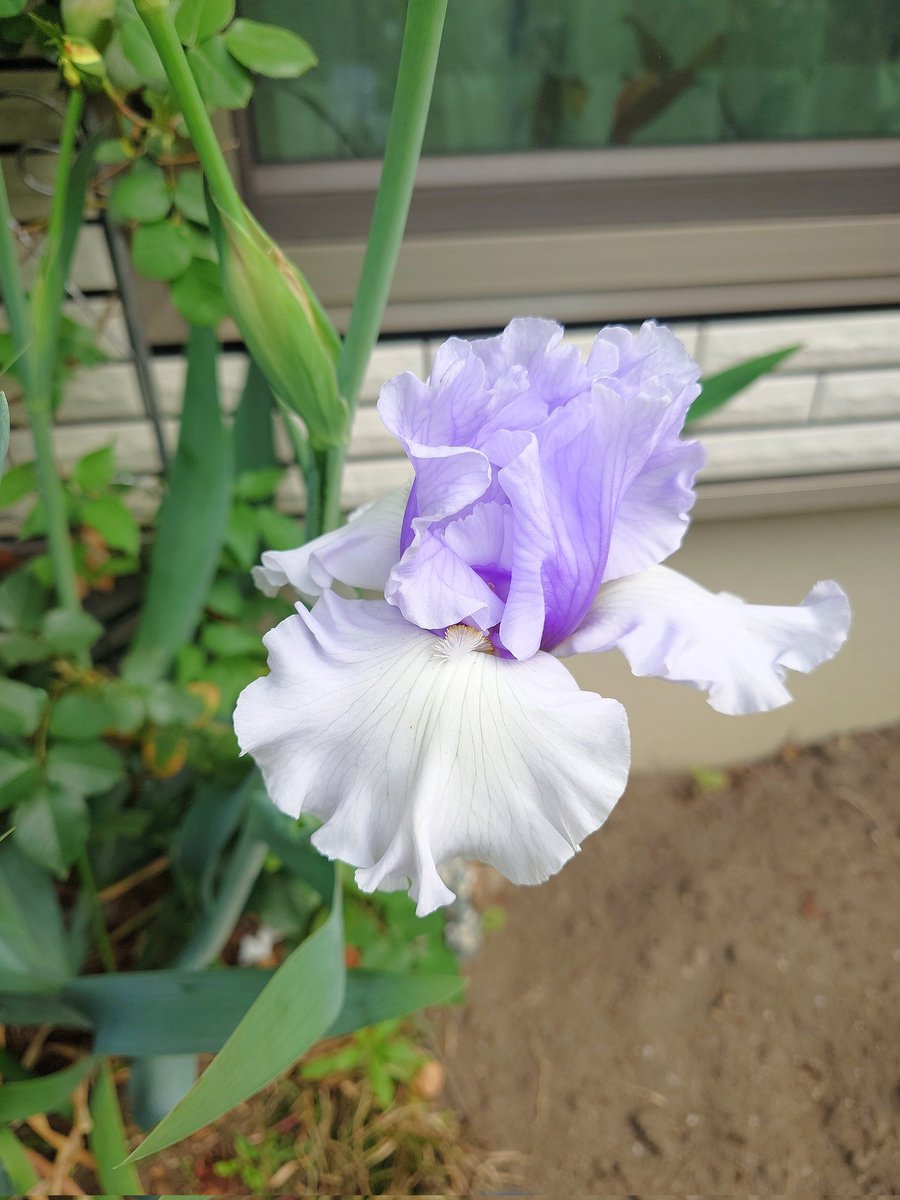 ㌍ おんたん tweet media