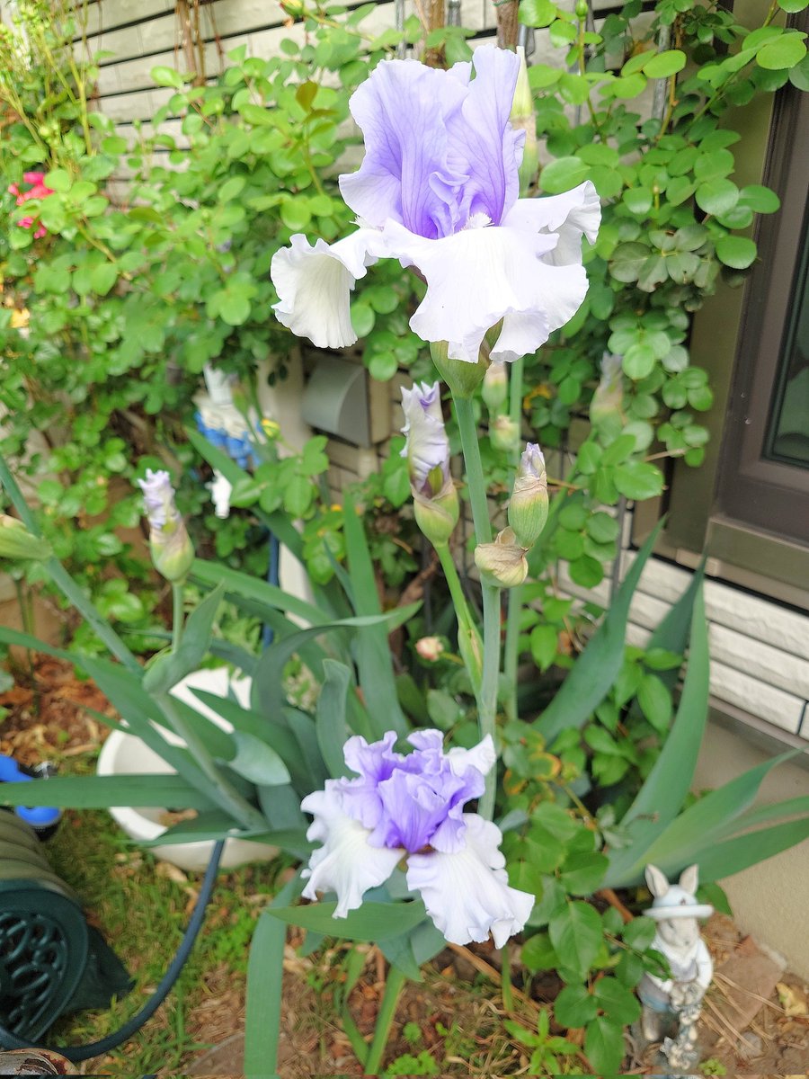 ㌍ おんたん tweet media