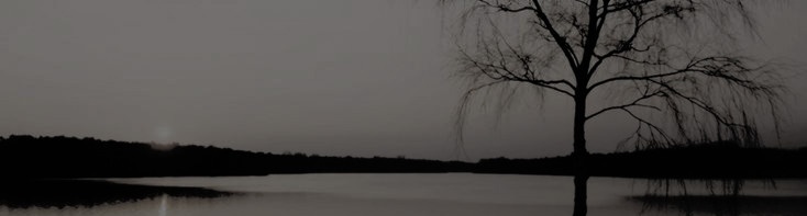 𝗗𝗢𝗡𝗚-𝐖𝗢𝗢 ؗ (@dong_hott) on Twitter photo 