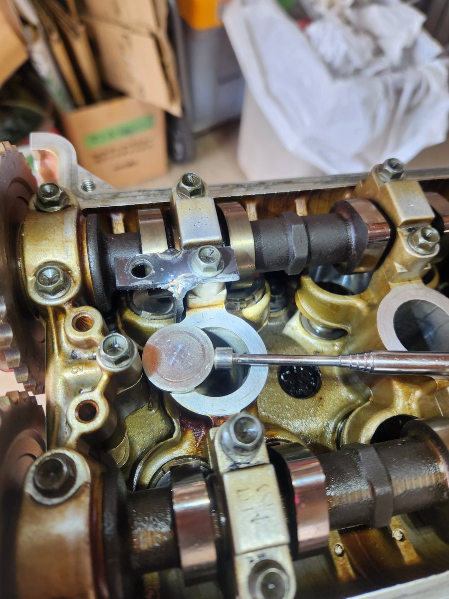 ぴんきゃろ tweet media