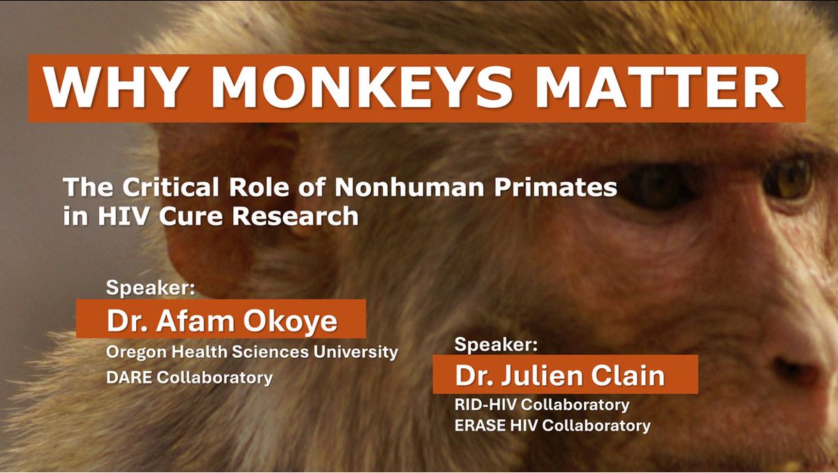 defeatHIV's tweet photo. WHY MONKEYS MATTER: THE CRITICAL ROLE OF NONHUMAN PRIMATES IN HIV CURE R... https://t.co/TtfxIdZGfV via @YouTube #hivcure https://t.co/V0USnNOxOE