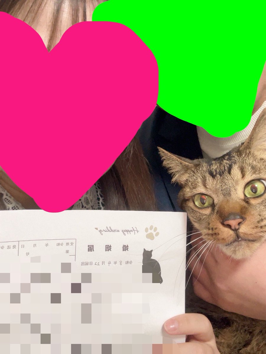 カロリーハーフくん@満身創痍(とっっっってもピュア) tweet media