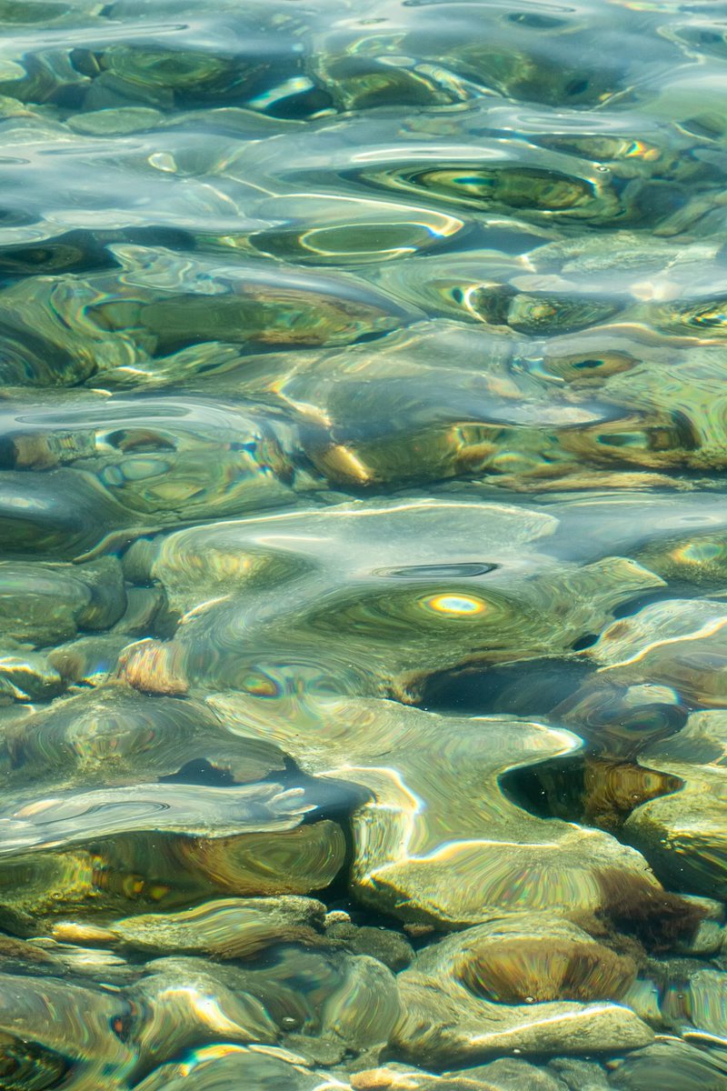iam_ginghs's tweet photo. Clear waters glimmer —
sun-kissed, a zephyr skims
#jade peeks through silver ripples.

#vss365 https://t.co/46gmpXnUgW