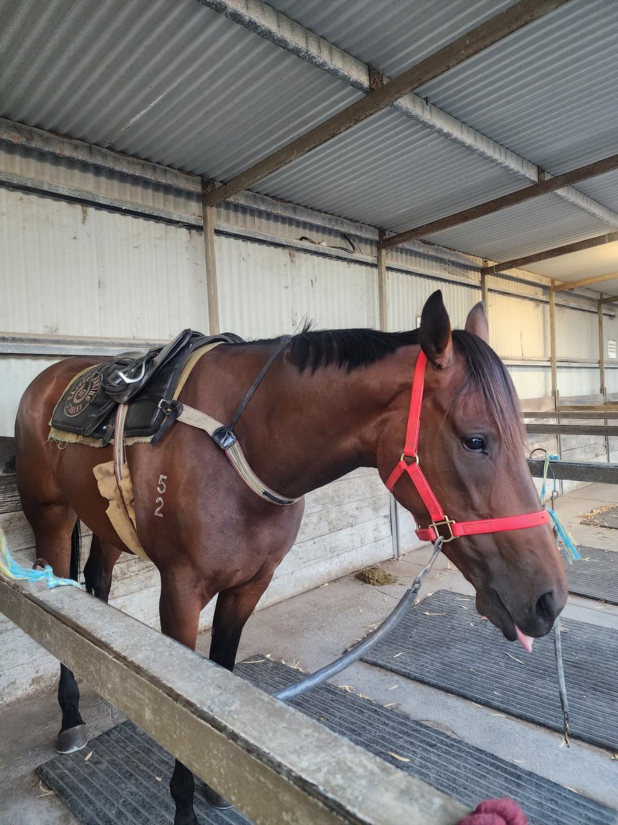 Eeyore Lodge Racing tweet media
