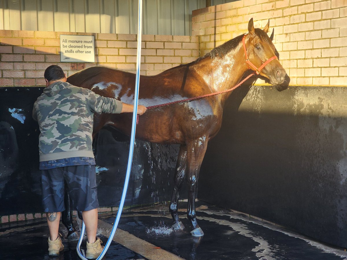 Eeyore Lodge Racing tweet media