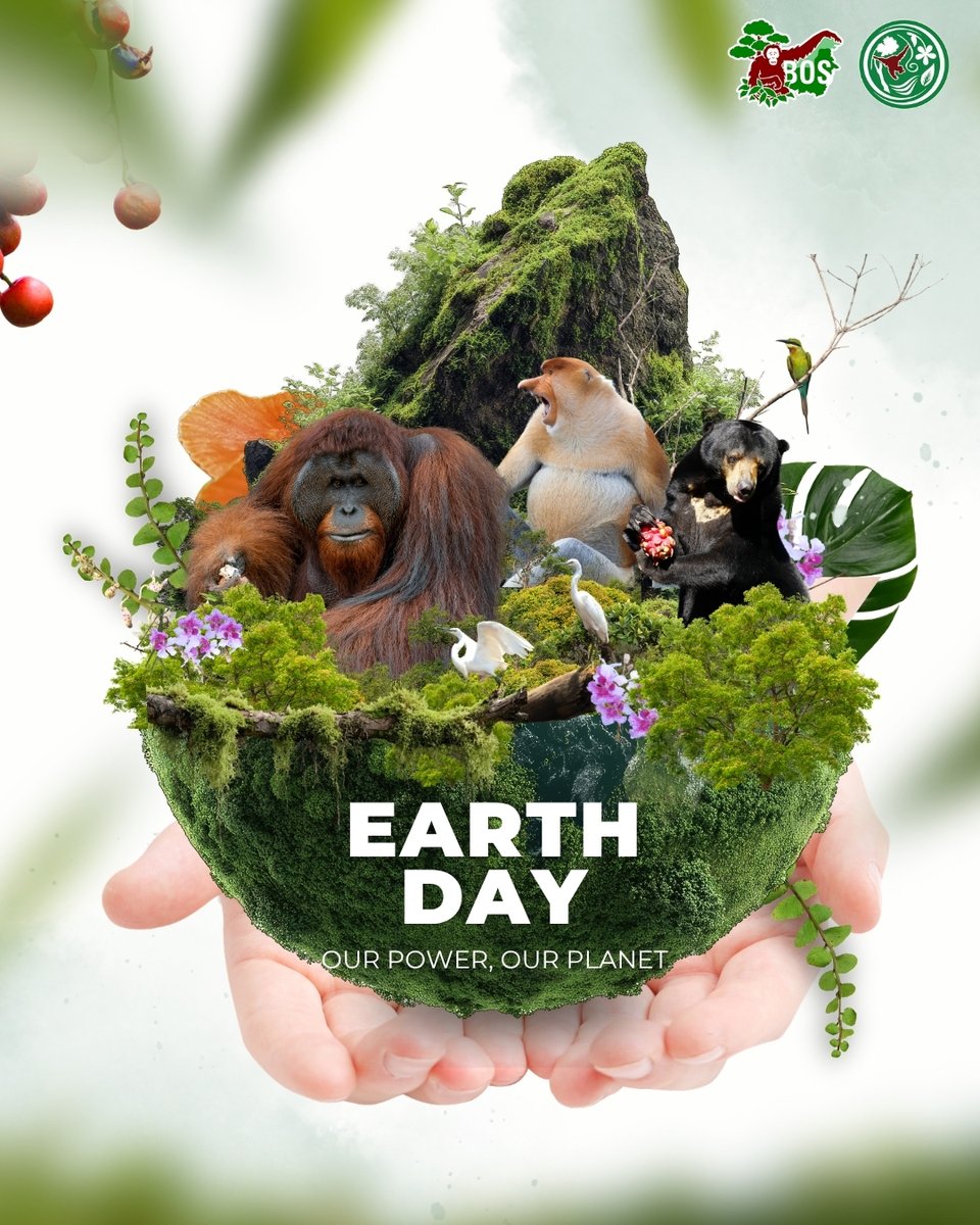 bornean_OU's tweet image. Earth Day 2026 🌍 — Our Power, Our Planet

The Earth doesn’t just belong to us, we belong to it. Everything is connected.

Our choices today shape the future we share. Small actions, big impact 💚

#EarthDay #OurPowerOurPlanet #SaveOrangutans