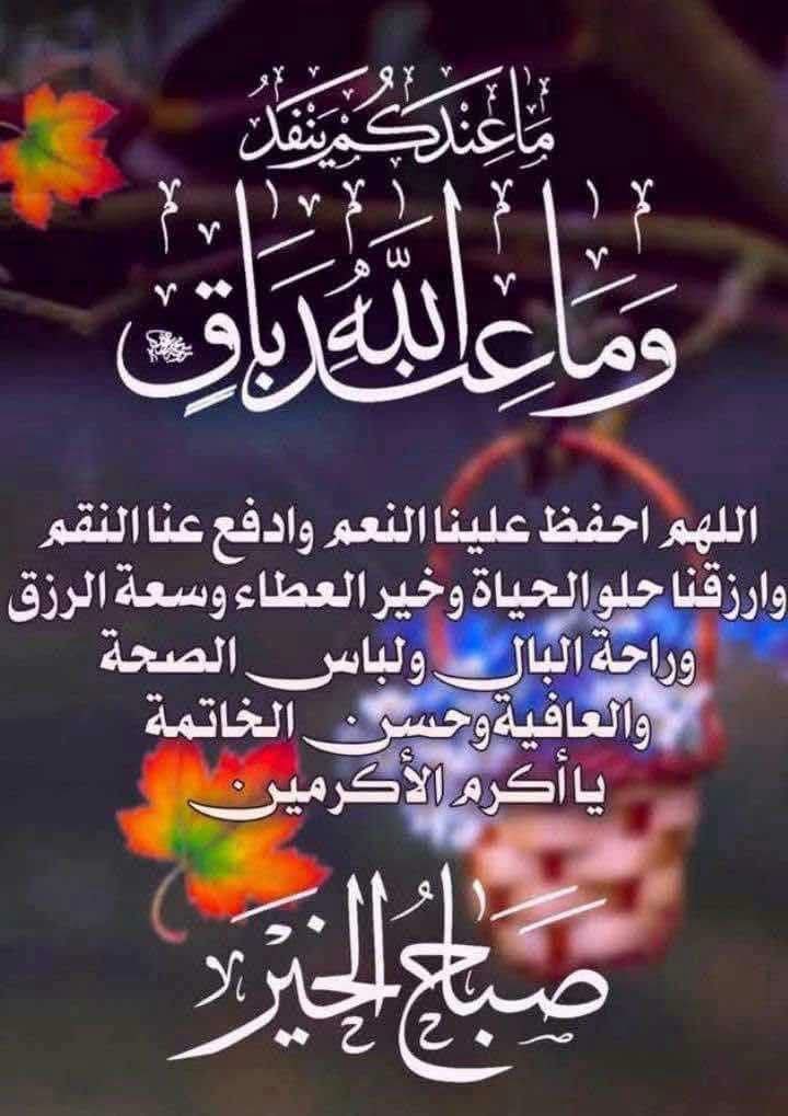 ﮼نجمه،السلطنه🇴🇲 tweet media