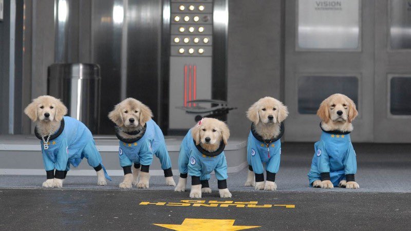 ꩜ ollie ꩜ tweet media