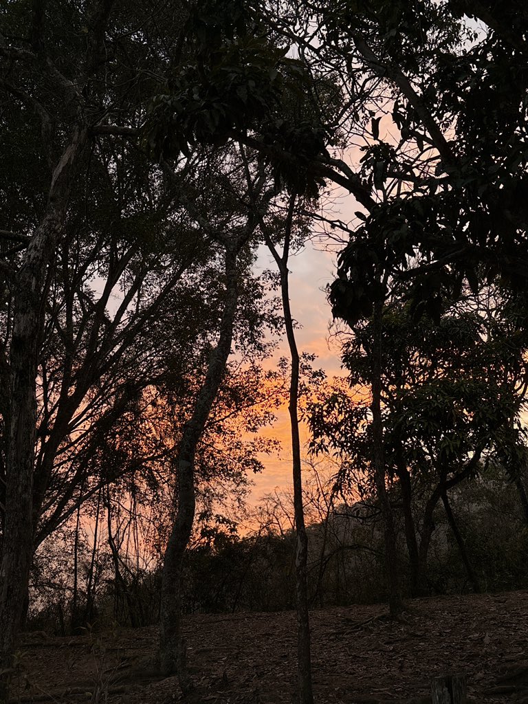 ces⭑r m⭑rtinez tweet media