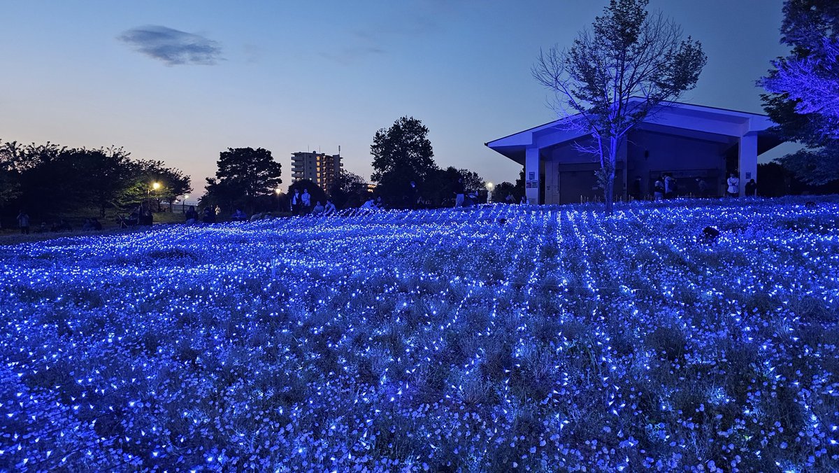 大野敦子🌙4/26@M3第二展示場1Fか-16b tweet media