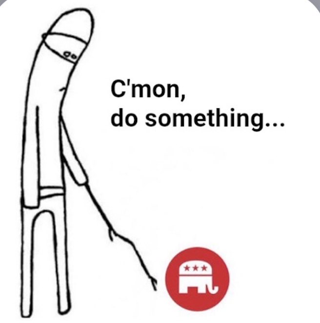 Zeducation tweet media