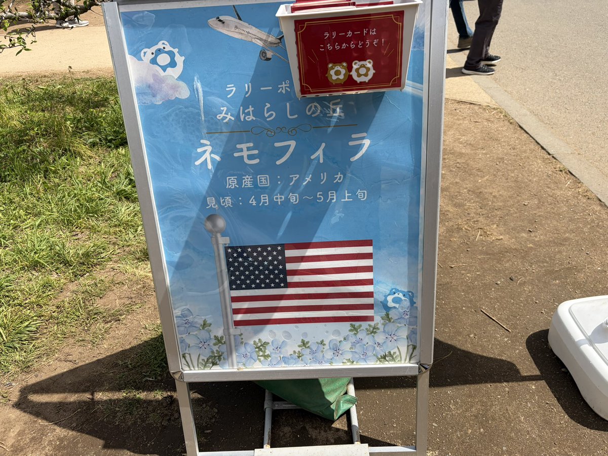 コージー 53 tweet media