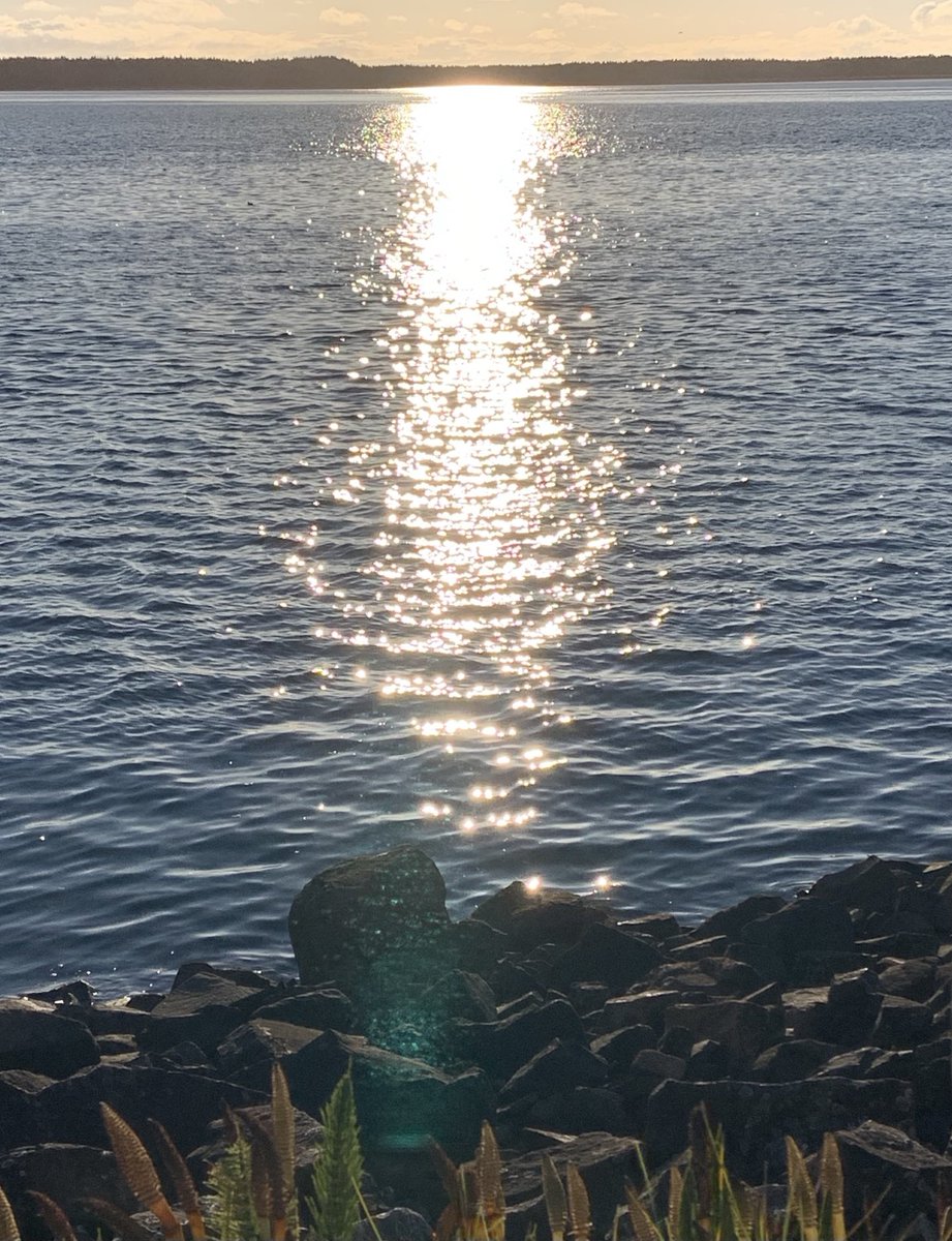 Sea 海洋 🌊 tweet media