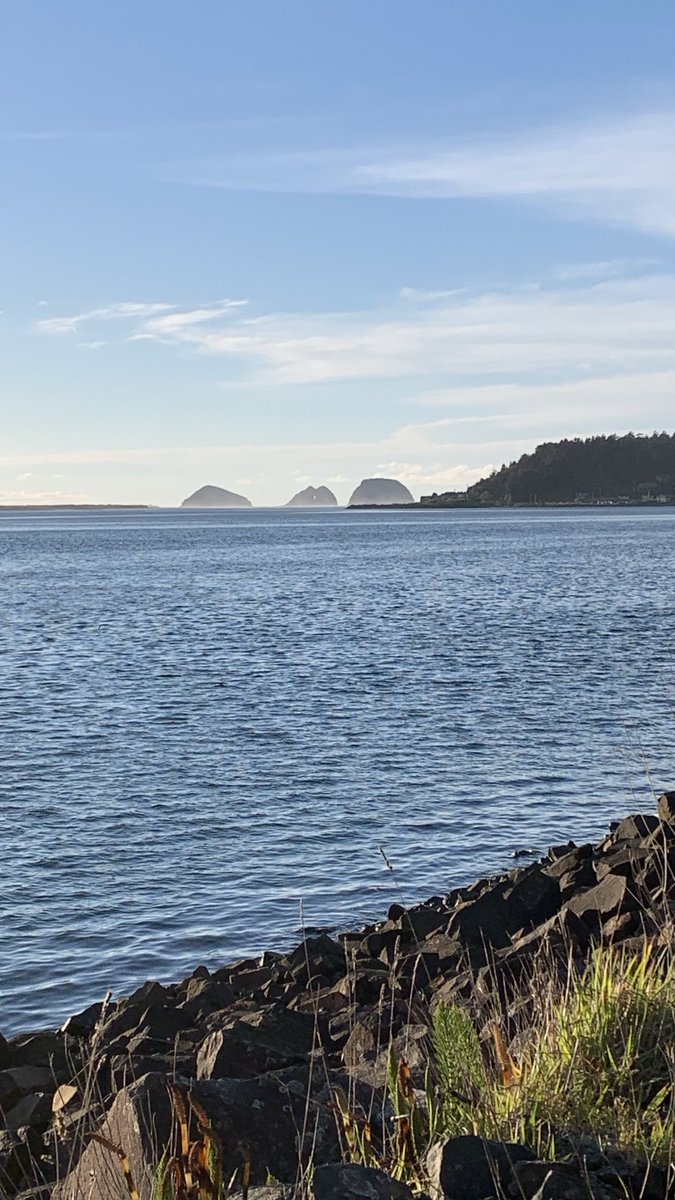 Sea 海洋 🌊 tweet media