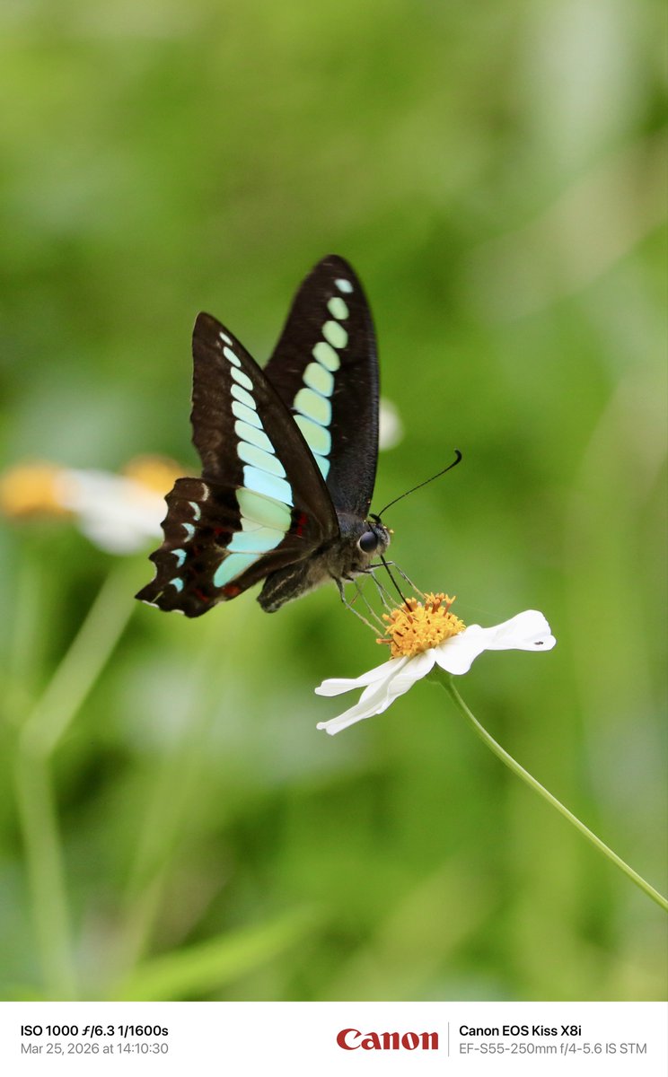 クリプトHida tweet media