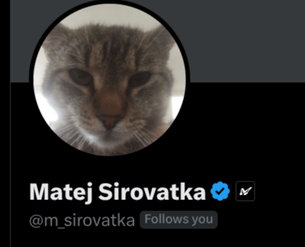 samsja tweet media