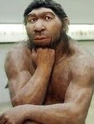 Laura៹ 🪭 tweet media