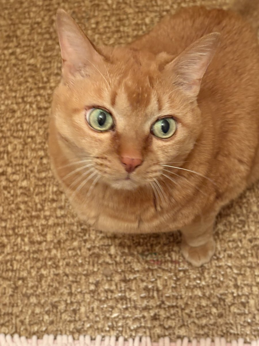 ゆーすけ tweet media