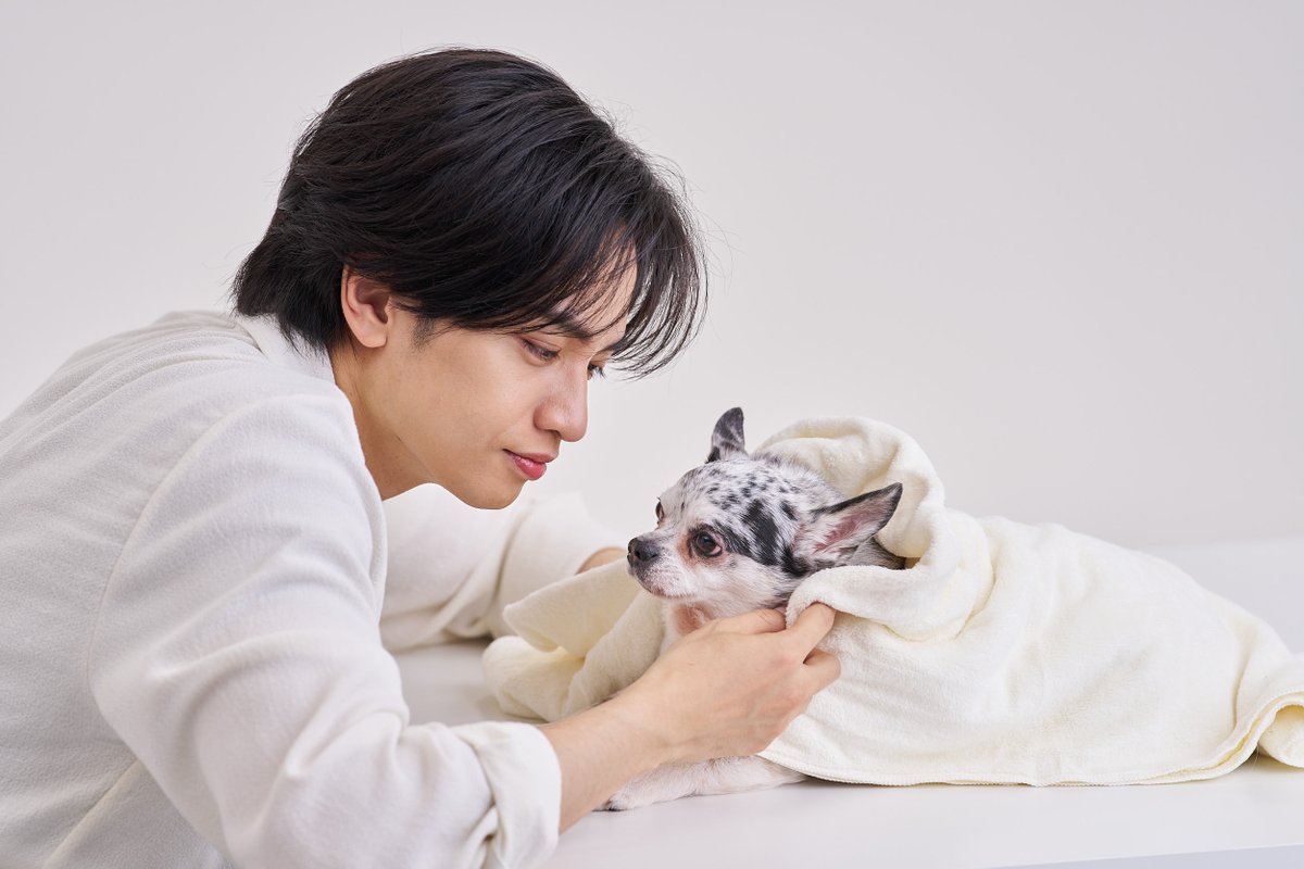 タレントデータバンク【公式】 tweet media